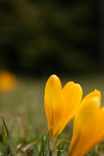 wiosennie ;) 