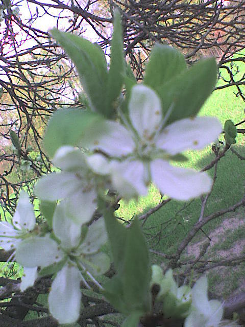 Koniec^^