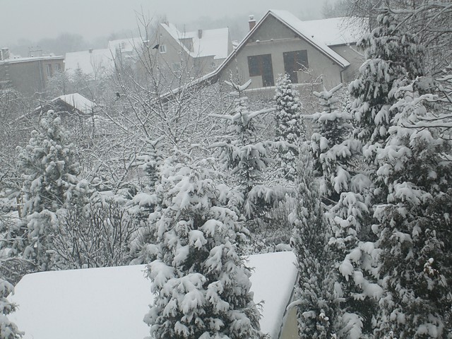 Ah zima