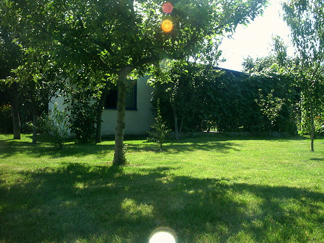 My szaraczki mamy tak cay czas