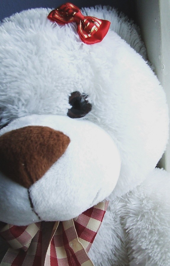 babuszka. xdd