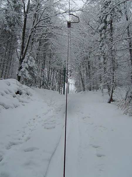 Kocierz