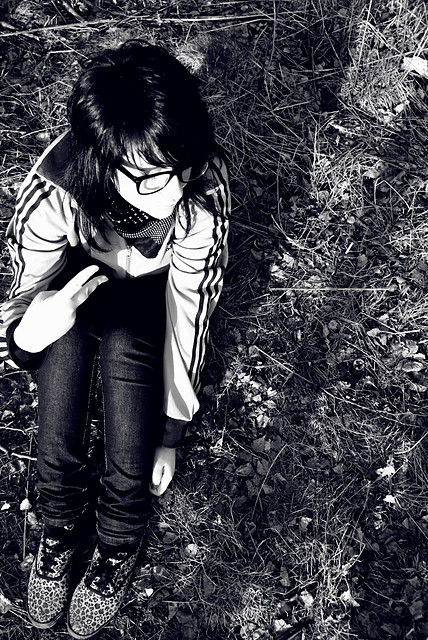 Wpis stcoccinelle