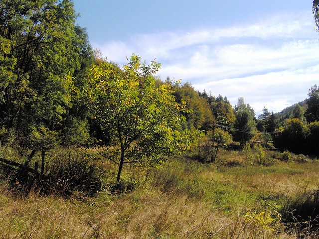Wpis krystianmlynarski