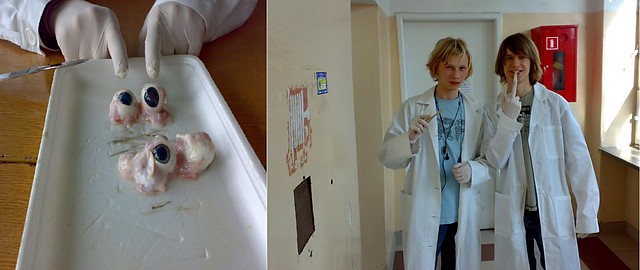 Nowicki i Adamczyk MD :)