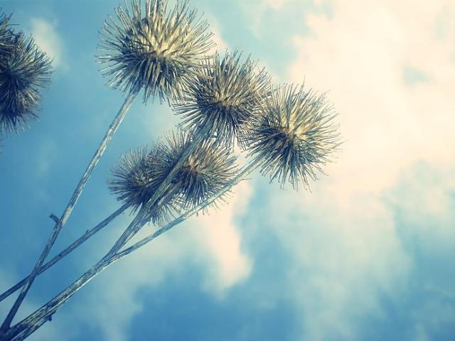 ..Uwaga ycie.