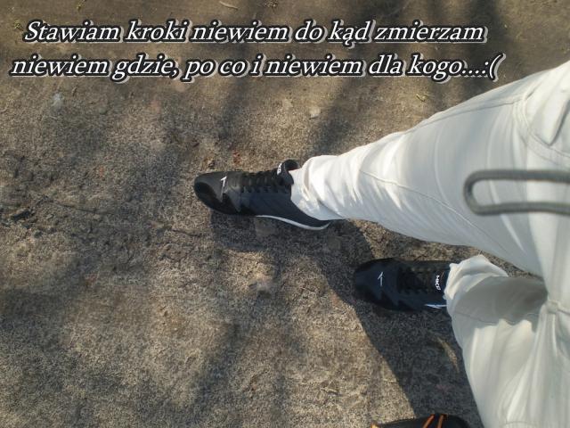 Wpis teska21