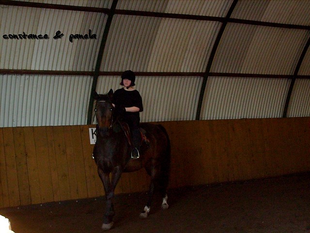 004. horse.