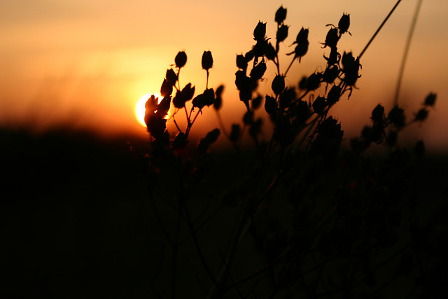 Sunset 3.0.