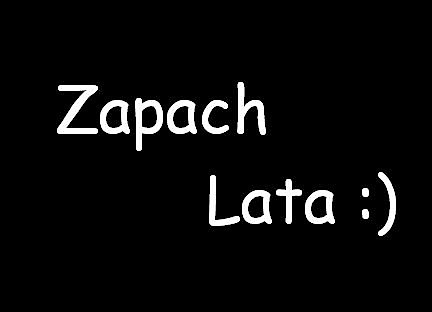 Beat Squad - Zapach Lata