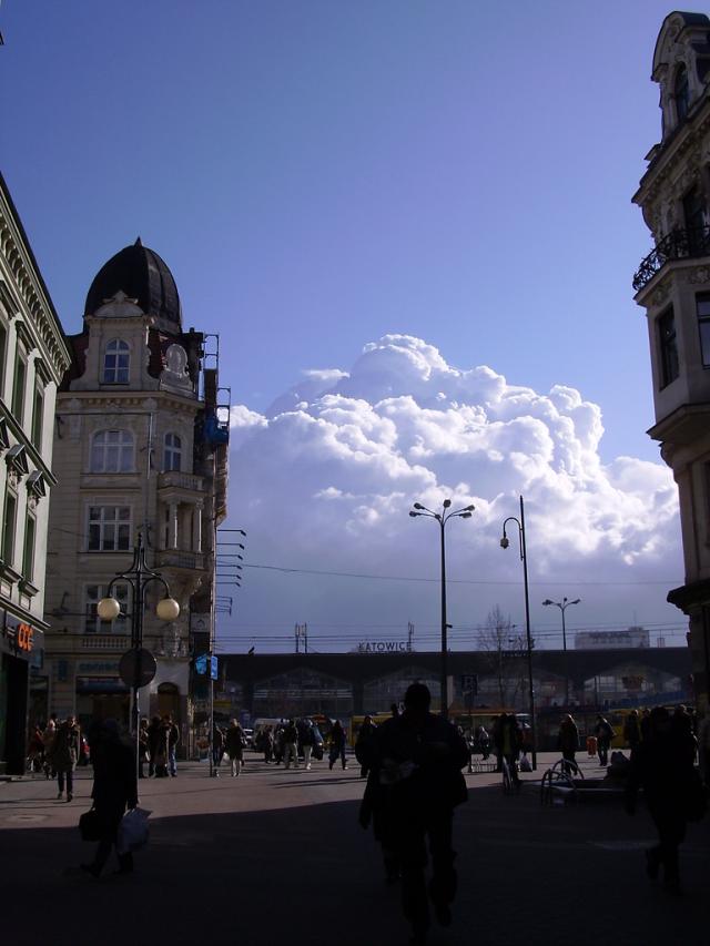 Pierwsze soce