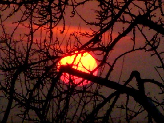 Sun