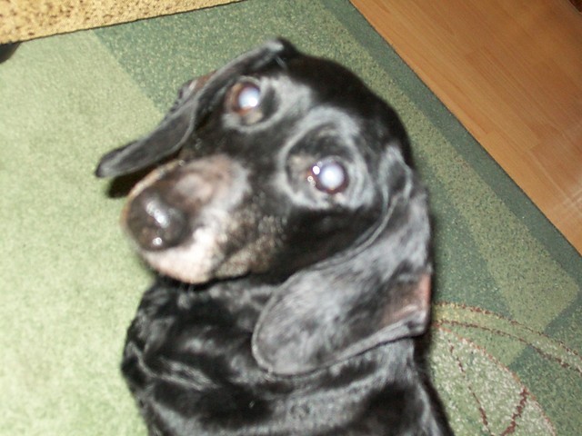 31.03.2009 rok godz 20.05