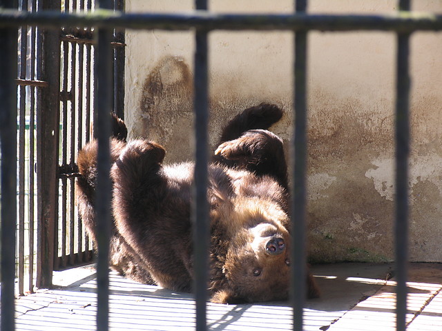 Zoo