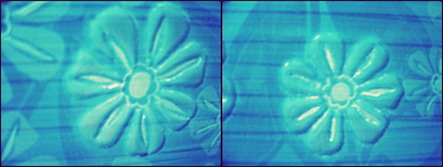 flower have eyes ; d