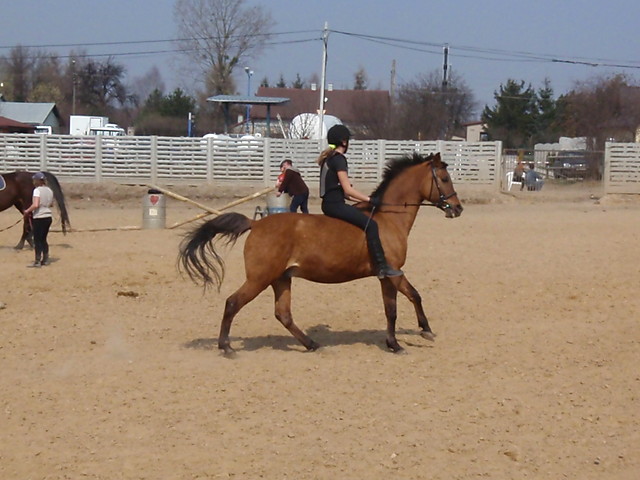 Galoop.!