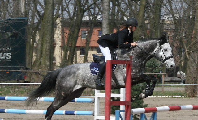 Wpis polskierealia