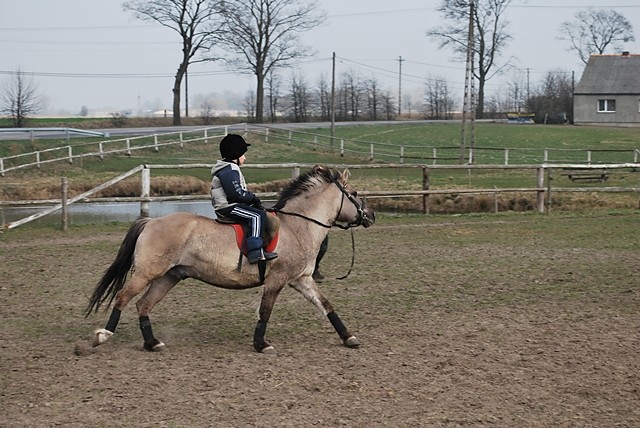 galop:)