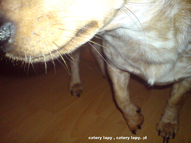 czteray apy . ;d 