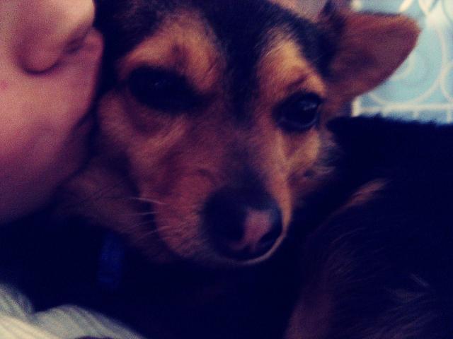 buziii ; dd