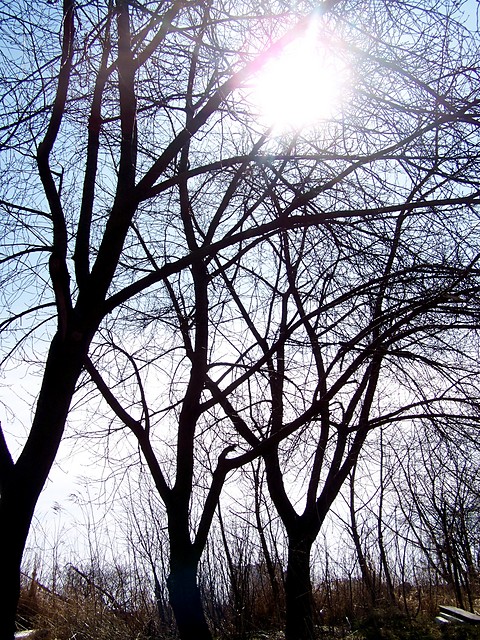 wiosna.