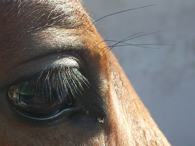 Wpis karolcia2249