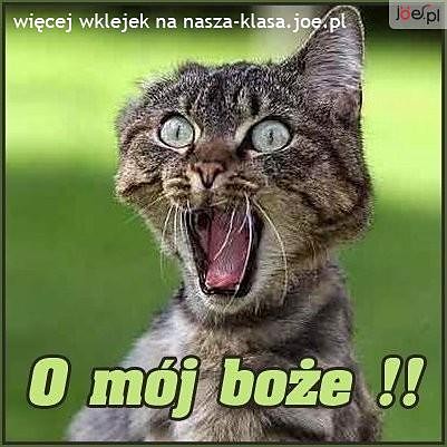 O mj boe !!