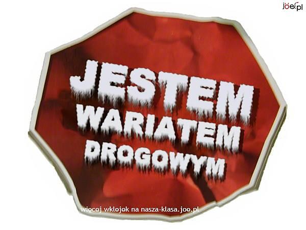 Jestem Wariatem Drogowym