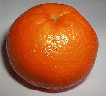PANNA MARDARYNKA