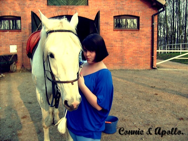 007. white horse