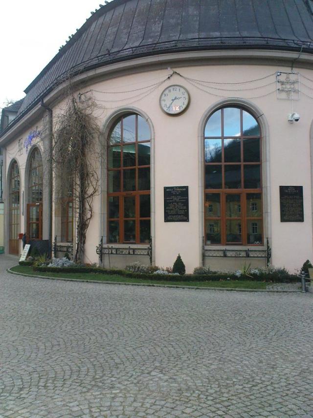 Wpis patuus8