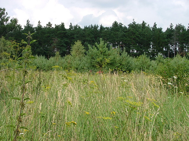 koniec
