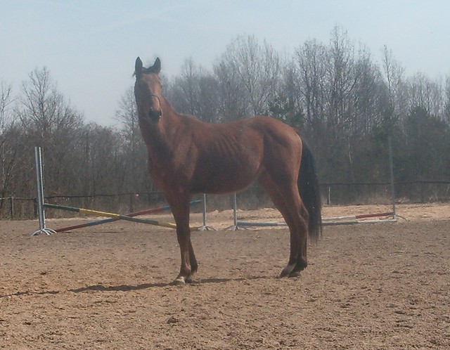 Wpis indigoboy
