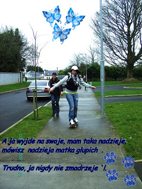 Skate ;d