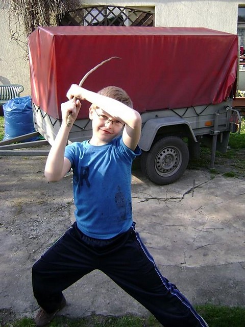 ninja