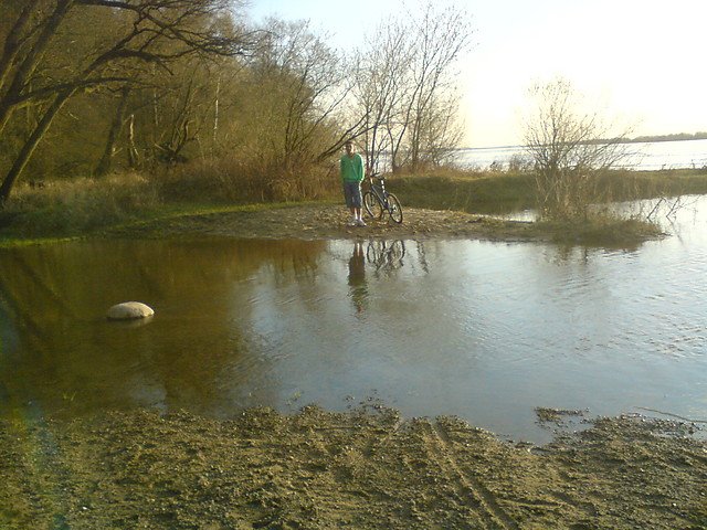 Wiosna