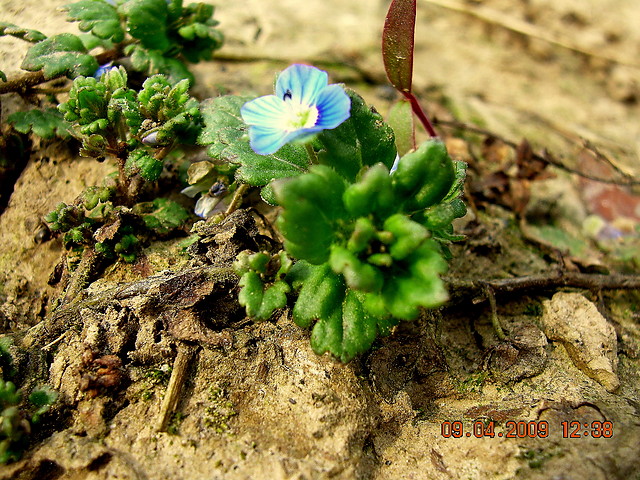 Bluuuuuu ;p