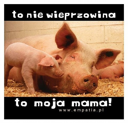 A moe bez tytuU^^