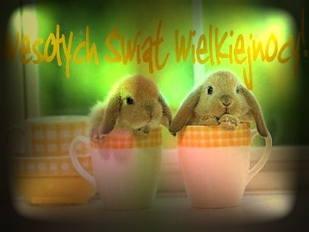 Wesoych wit Wielkanocy
