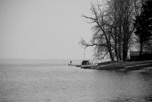 The Old Man and the Sea