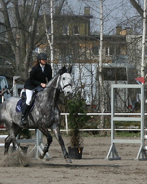 Wpis polskierealia