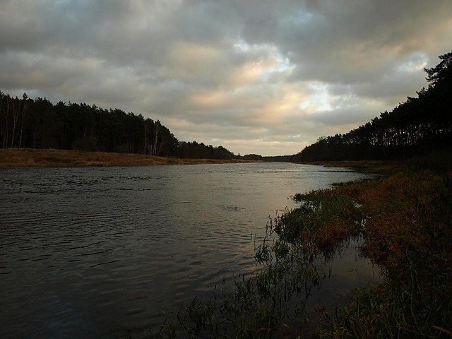 warta-rzeka