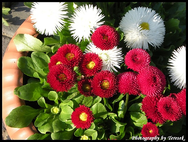Spring Time.!