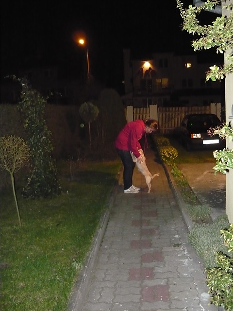 Wpis ooowerciaooo