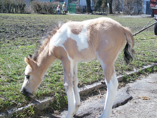 Wpis karolcia2249