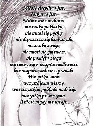 Wpis bogusi1234