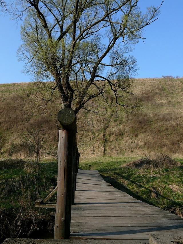Wpis pilevka