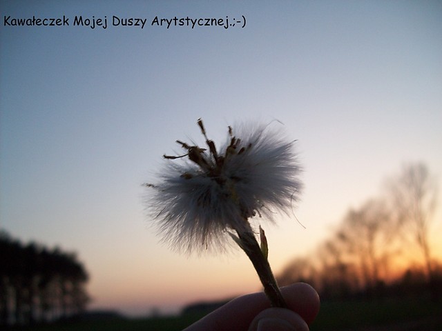 Moje Photo.!