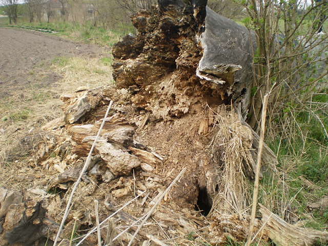 Wpis klaudyna0014
