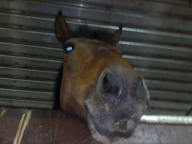 Ares